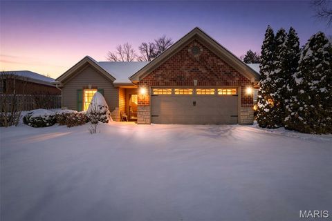 17 Ash Court Festus MO 63028