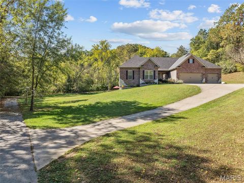 Photo of 409 Griffith Lane, Chesterfield, MO 63005 (MLS # 25036266)