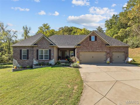 Photo of 409 Griffith Lane, Chesterfield, MO 63005 (MLS # 25036266)