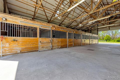 Tiny photo for 13420 Hanne Trail, Wright City, MO 63390 (MLS # 25024398)