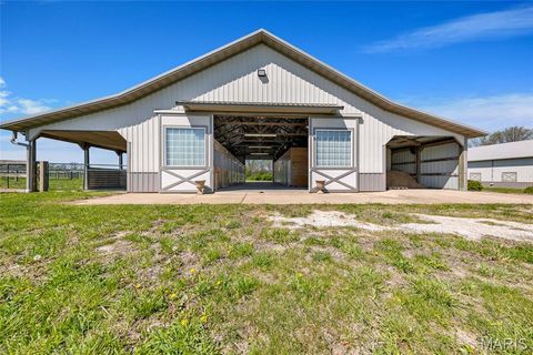 Tiny photo for 13420 Hanne Trail, Wright City, MO 63390 (MLS # 25024398)