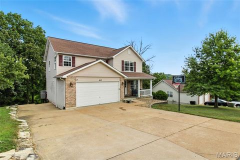 6117 Courtney Way Imperial MO 63052