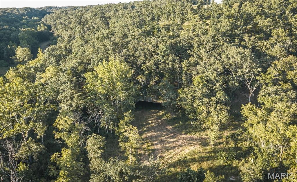 Photo of 000 Pool Holler Cave Road, Rolla, MO 65401 (MLS # 26057308)