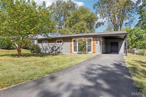 Photo of 9513 Margo Ann Lane, Woodson Terrace, MO 63134 (MLS # 25069382)