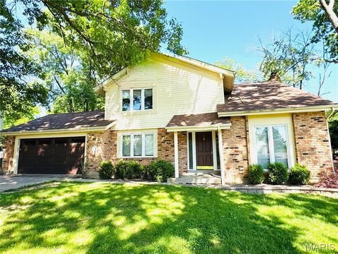 Photo of 160 Lucerne Place Drive, Ballwin, MO 63011 (MLS # 26030454)