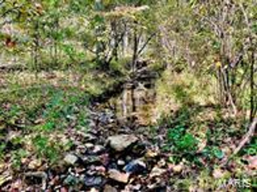 If you are looking for peace, quiet and freedom, this 210 acres m/l offers that and more! Located in rural Texas County, Missouri with no restrictions and down a low traffic county road, this wooded Ozarks beauty offers electric in multiple places and rural water. Owner reports a spring on the property, a small creek, and wildlife is abundant! Excellent location for a food plot, and does have an older non-livable mobile home and a double wide with detached shop that needs TLC or remove and build your dream home. Just minutes to a public Piney River access and near 1000's of acres of National Forest Land.