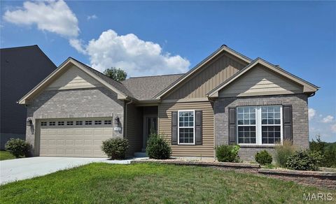 1828 Oak Drive Festus MO 63028