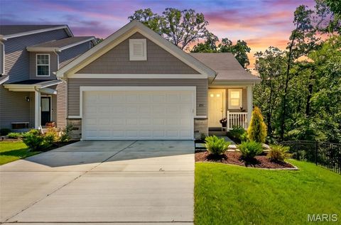 Photo of 851 Woodbridge Way, Truesdale, MO 63380 (MLS # 26034514)