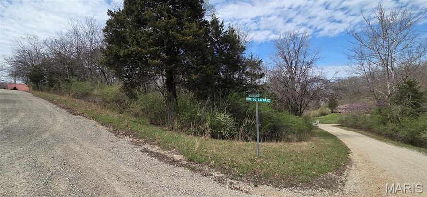 .33 acre buildable lot located near Lac Carmel! Enjoy the flexibility to design and build to your needs, subject to local zoning and building guidelines. Buyer to verify all restrictions and utility access.