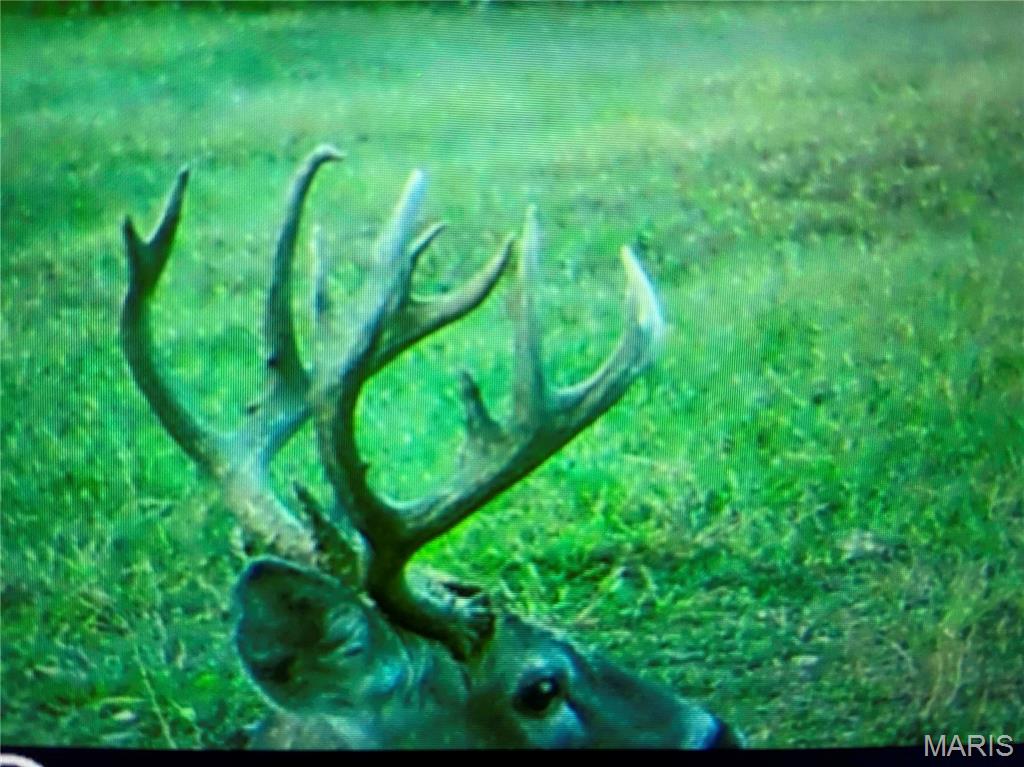 2335 Camp Mo Val Road