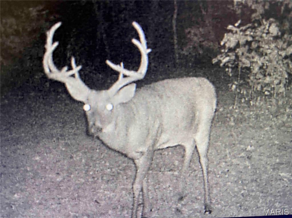 2335 Camp Mo Val Road