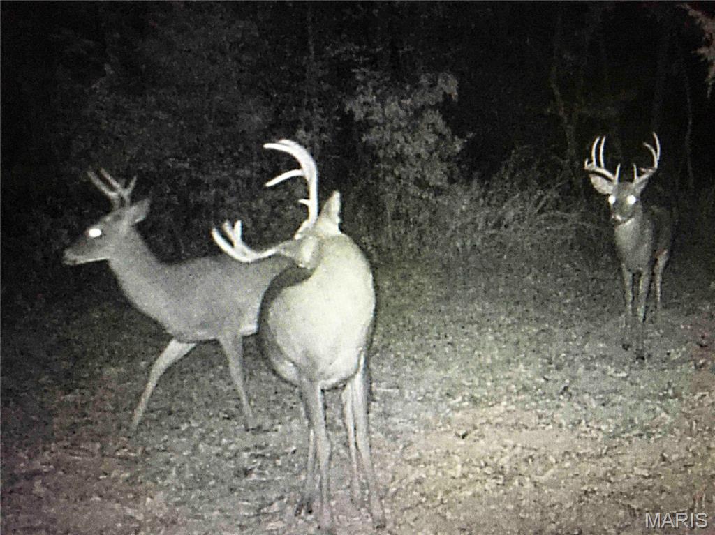 2335 Camp Mo Val Road