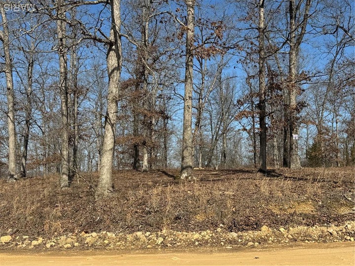 Photo 1 of 14 — Lot EE&EE(S) Hidden Valley Lakes, Annapolis, MO 63620