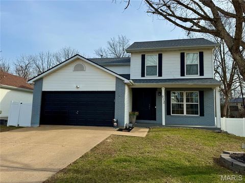 912 Parc Central Drive Festus MO 63028