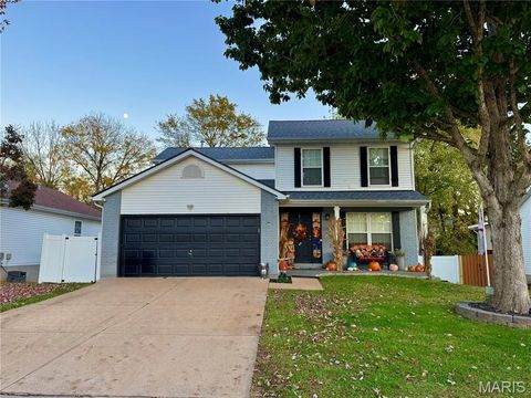 912 Parc Central Drive Festus MO 63028