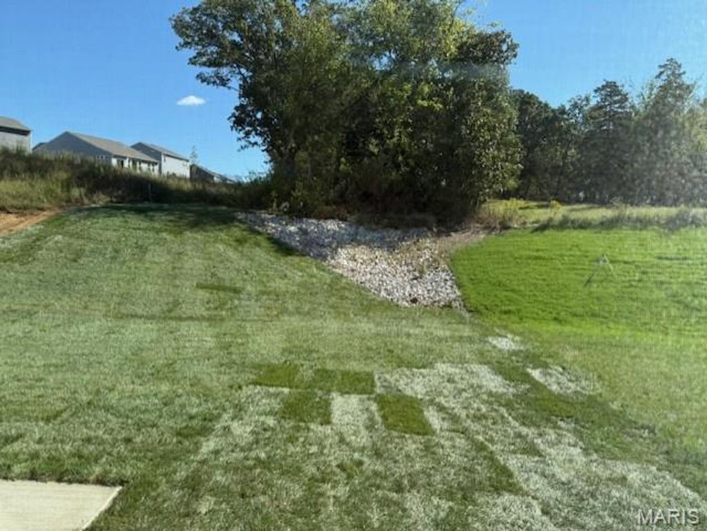 Photo of 544 Edison Way, Wentzville, MO 63385 (MLS # 25073306)