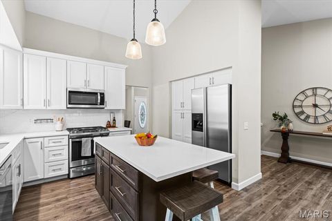 Tiny photo for 1329 Westbrooke Terrace Drive, Ballwin, MO 63021 (MLS # 25081879)