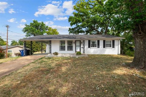 Photo of 920 Tempo Drive, Creve Coeur, MO 63146 (MLS # 25063779)