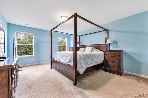 Tiny photo for 716 College Park Drive, Wentzville, MO 63385 (MLS # 25069975)
