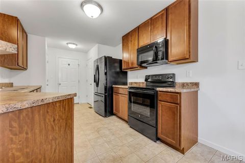 Tiny photo for 716 College Park Drive, Wentzville, MO 63385 (MLS # 25069975)