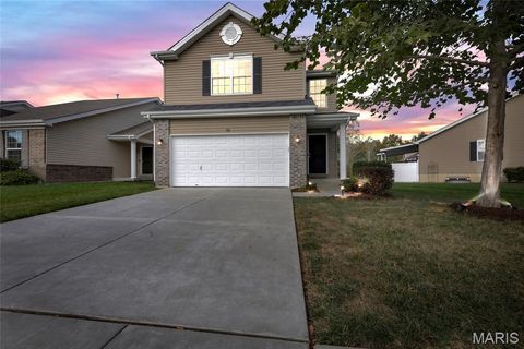 Photo of 716 College Park Drive, Wentzville, MO 63385 (MLS # 25069975)