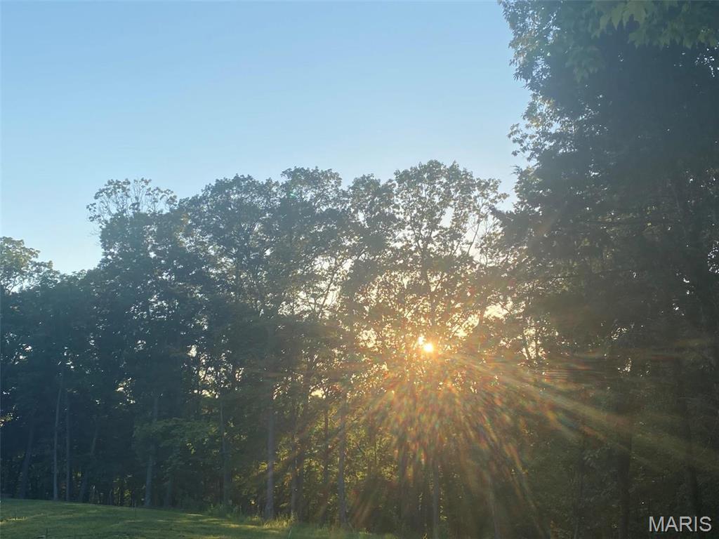 5000 Lily Ridge