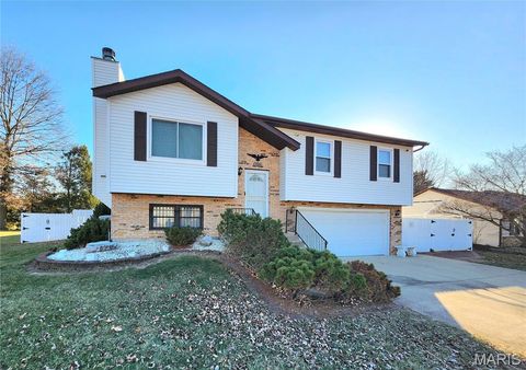 825 ANDRA Drive Maryville IL 62062