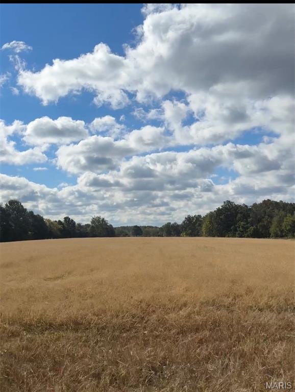 1617 Sneak Road