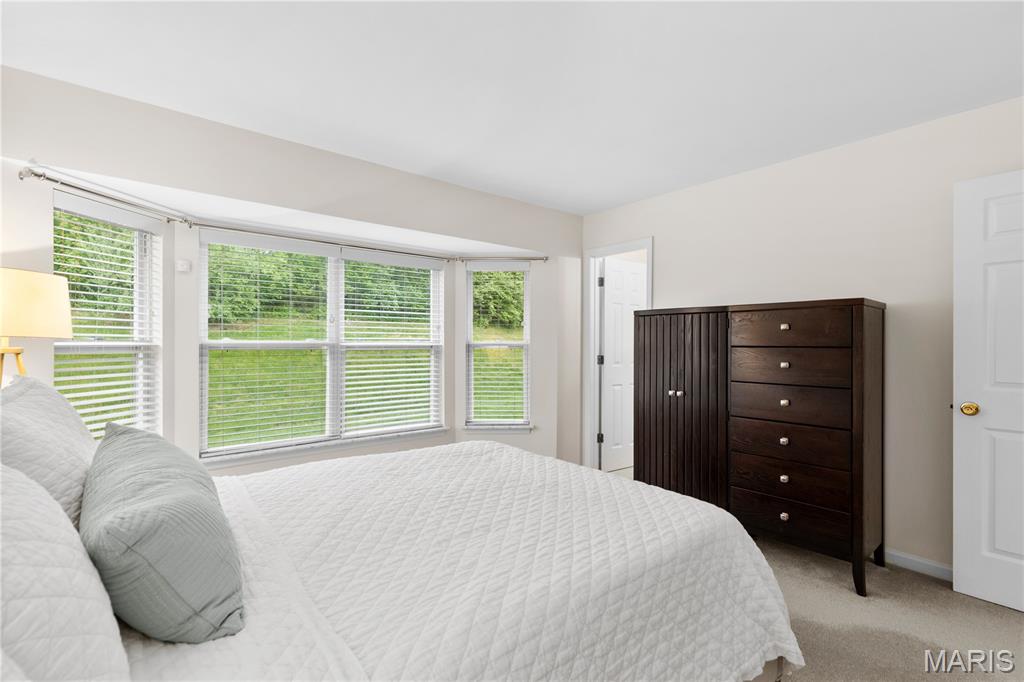 Old Jamestown Forest - Residential