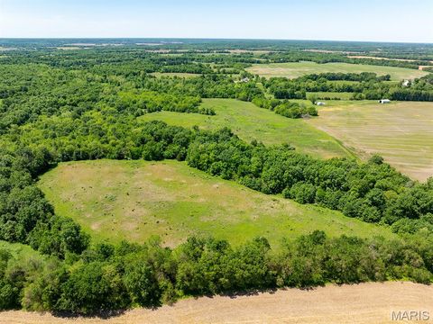 Tiny photo for 19358 Highway FF, New London, MO 63459 (MLS # 25034542)