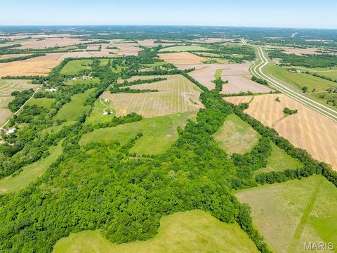 Tiny photo for 19358 Highway FF, New London, MO 63459 (MLS # 25034542)