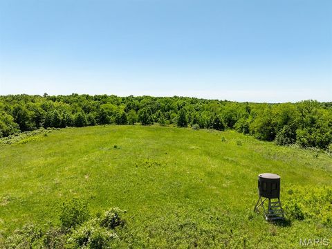 Tiny photo for 19358 Highway FF, New London, MO 63459 (MLS # 25034542)