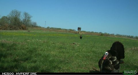 Tiny photo for 19358 Highway FF, New London, MO 63459 (MLS # 25034542)