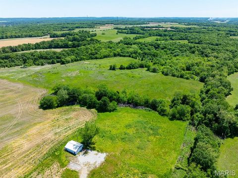 Tiny photo for 19358 Highway FF, New London, MO 63459 (MLS # 25034542)