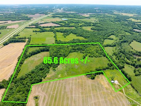 Photo of 19358 Highway FF, New London, MO 63459 (MLS # 25034542)