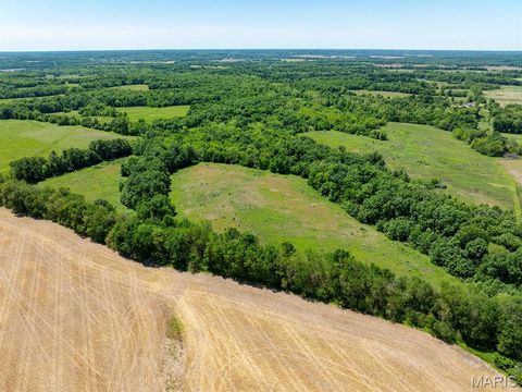 Tiny photo for 19358 Highway FF, New London, MO 63459 (MLS # 25034542)