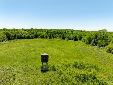 Tiny photo for 19358 Highway FF, New London, MO 63459 (MLS # 25034542)