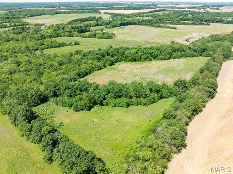 Tiny photo for 19358 Highway FF, New London, MO 63459 (MLS # 25034542)