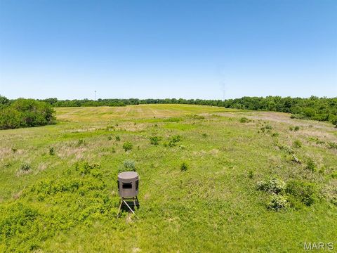 Tiny photo for 19358 Highway FF, New London, MO 63459 (MLS # 25034542)
