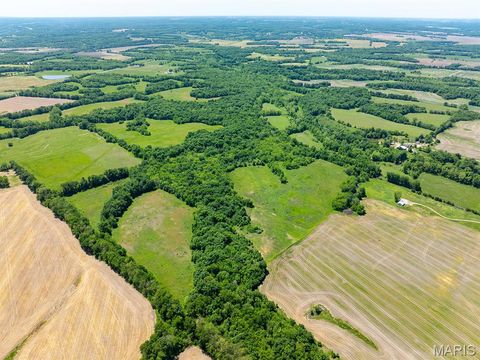Tiny photo for 19358 Highway FF, New London, MO 63459 (MLS # 25034542)