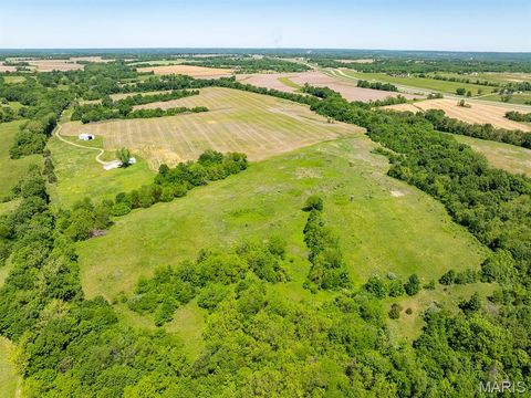 Tiny photo for 19358 Highway FF, New London, MO 63459 (MLS # 25034542)