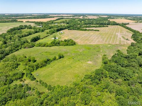 Tiny photo for 19358 Highway FF, New London, MO 63459 (MLS # 25034542)