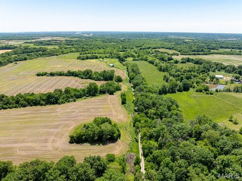 Tiny photo for 19358 Highway FF, New London, MO 63459 (MLS # 25034542)