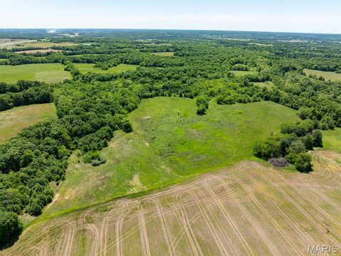 Tiny photo for 19358 Highway FF, New London, MO 63459 (MLS # 25034542)