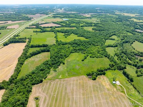 Tiny photo for 19358 Highway FF, New London, MO 63459 (MLS # 25034542)