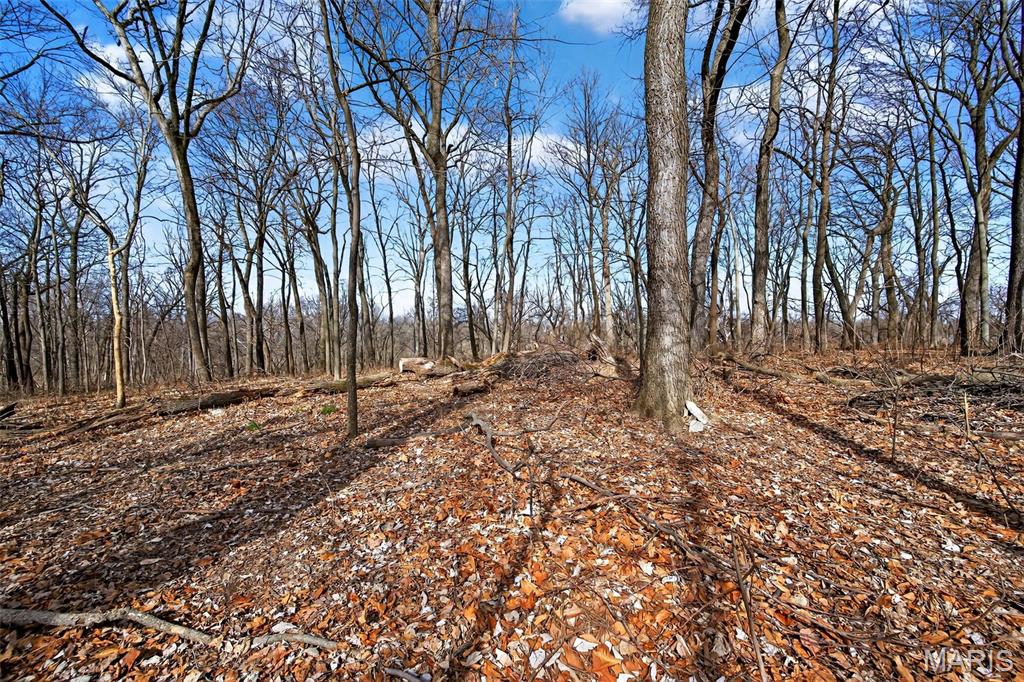 Meadowpark Five - Residential