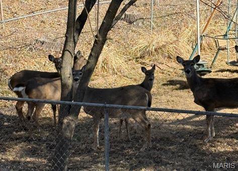 Meadowpark Five - Residential