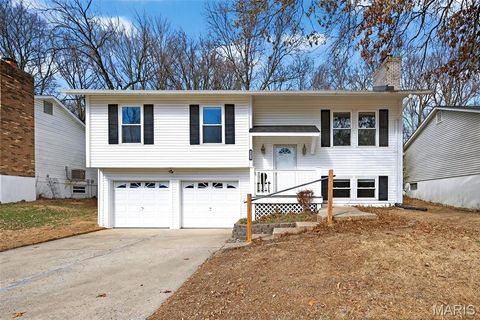 11953 Meadow Run Court Maryland Heights MO 63043