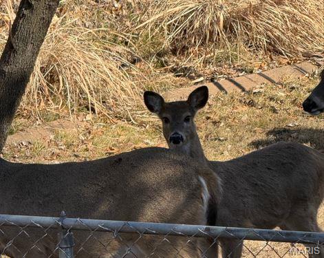 Meadowpark Five - Residential