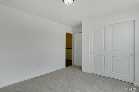 Tiny photo for 431 Yellow Rose Court, Wentzville, MO 63385 (MLS # 26016409)